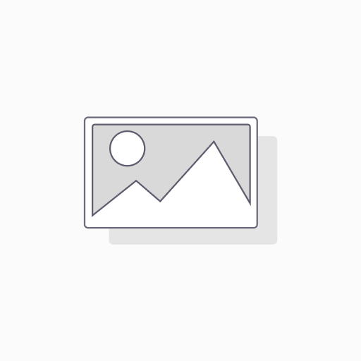 DSGVO Portal 10 User